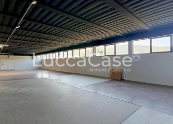 Shed Lucca - photo 2