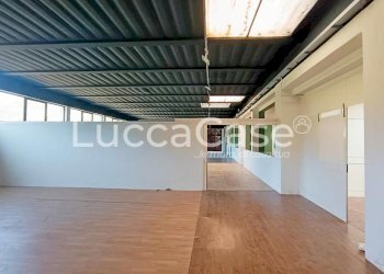 Shed Lucca - photo 4
