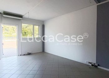 Shed Lucca - photo 14
