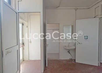 Shed Lucca - photo 16
