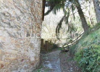Rustico Lucca (zona Cappella) - foto 7
