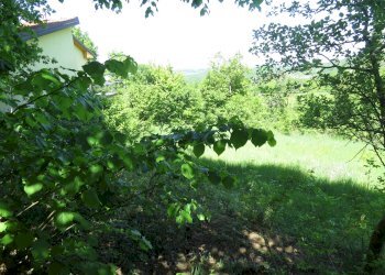 Semi-detached Villa Via Pallavicino, 43, Cantalupo Ligure - photo 36