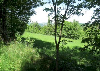 Semi-detached Villa Via Pallavicino, 43, Cantalupo Ligure - photo 42