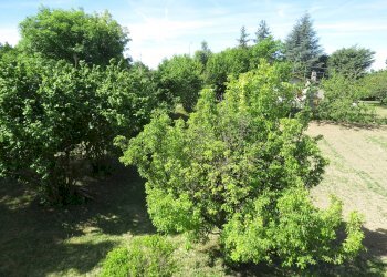 Semi-detached Villa Via Pallavicino, 53, Cantalupo Ligure - photo 23