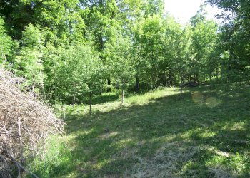 Semi-detached Villa Via Pallavicino, 53, Cantalupo Ligure - photo 66