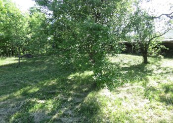Semi-detached Villa Via Pallavicino, 53, Cantalupo Ligure - photo 67