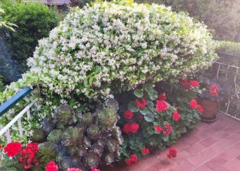 Trilocale Via Duca degli Abruzzi, 44, Sanremo - foto 29