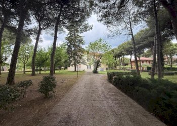Three-room apartment Via Murge, Cervia - photo 10