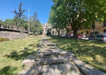 Foto 40 - Stable - Palace viale della libertà
 
50, Ceccano - photo 40