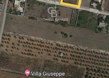 Foto 17 - Terreno agricolo Via del Mirto
snc, Avetrana - foto 17