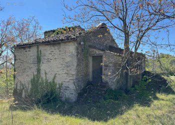 Foto 2 - Rustico C.da Coste (S.P.103), Montelparo - foto 2
