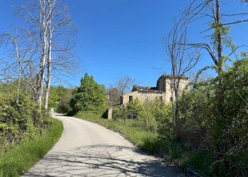 Foto 3 - Rustico C.da Coste (S.P.103), Montelparo - foto 3