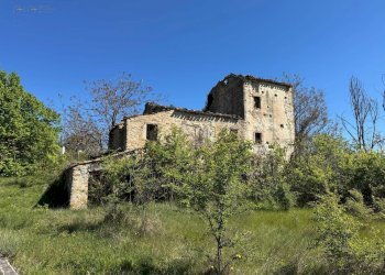 Foto 8 - Rustico C.da Coste (S.P.103), Montelparo - foto 5