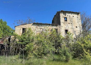 Foto 9 - Rustico C.da Coste (S.P.103), Montelparo - foto 6