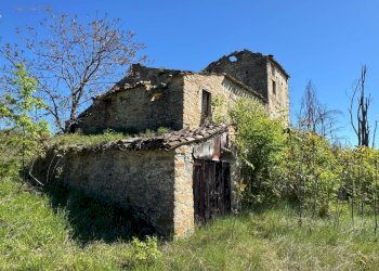 Foto 10 - Rustico C.da Coste (S.P.103), Montelparo - foto 7
