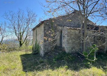 Foto 12 - Rustico C.da Coste (S.P.103), Montelparo - foto 9