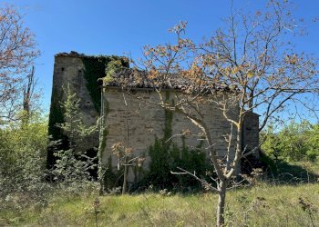 Foto 13 - Rustico C.da Coste (S.P.103), Montelparo - foto 10