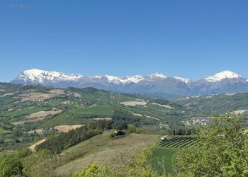 Foto 17 - Rustico C.da Coste (S.P.103), Montelparo - foto 14