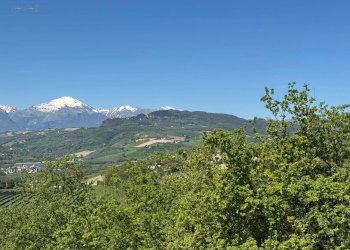 Foto 18 - Rustico C.da Coste (S.P.103), Montelparo - foto 15