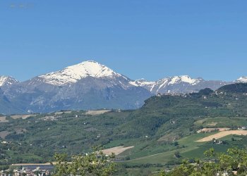 Foto 19 - Rustico C.da Coste (S.P.103), Montelparo - foto 16