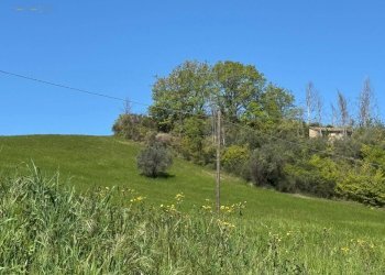 Foto 21 - Rustico C.da Coste (S.P.103), Montelparo - foto 18