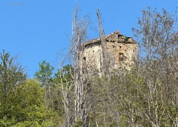 Foto 22 - Rustico C.da Coste (S.P.103), Montelparo - foto 19