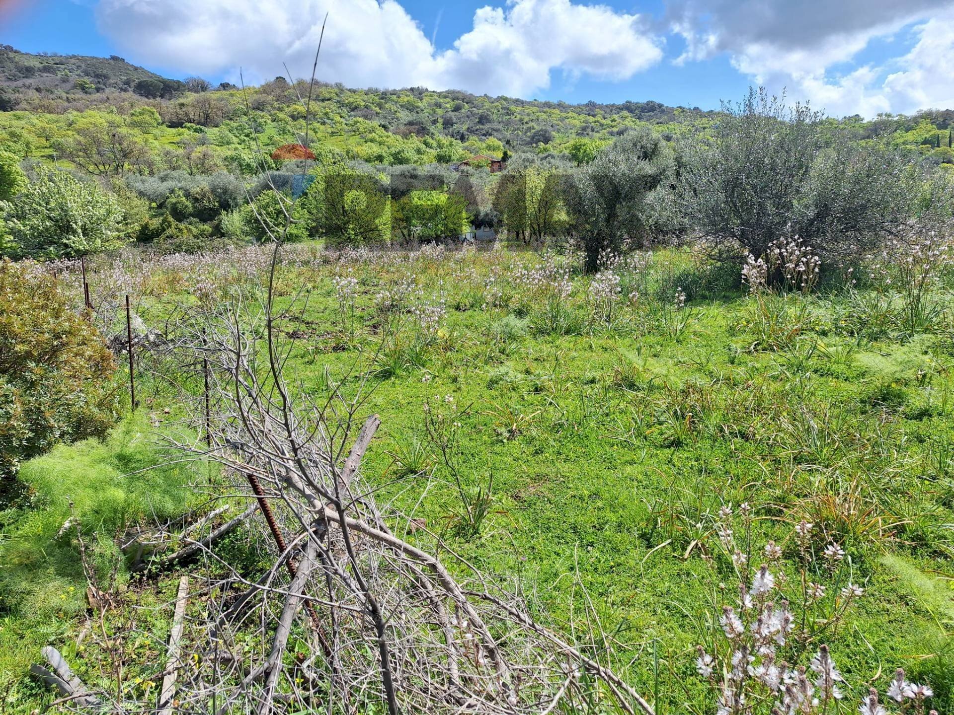 Vista delle montagne - Terreno edificabile Contrada demani, Pollina - foto 2