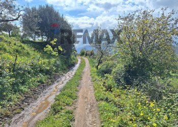 Giardino - Terreno edificabile Contrada demani, Pollina - foto 1