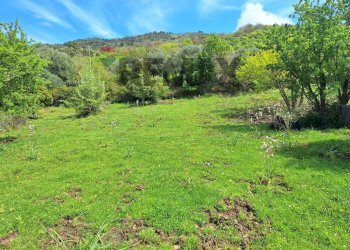 Giardino - Terreno edificabile Contrada demani, Pollina - foto 11