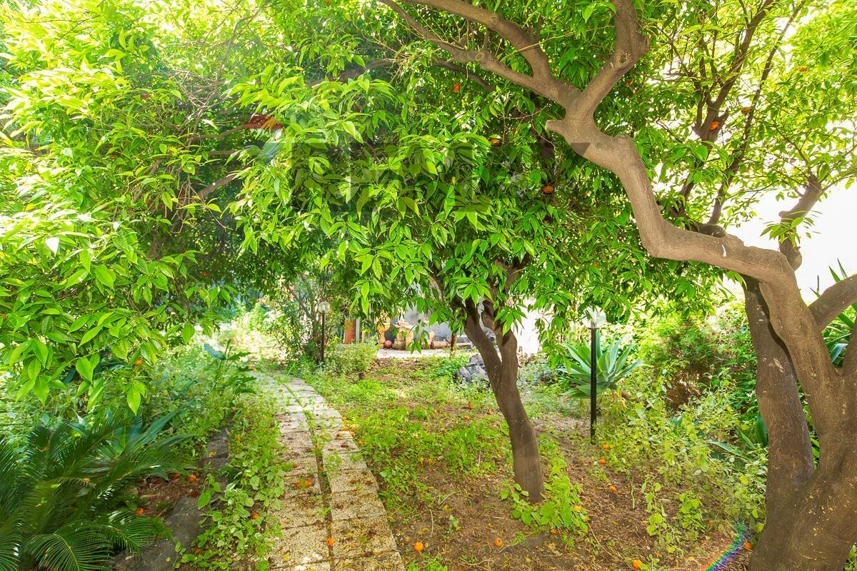 Giardino - Appartamento Via Antonino Di Sangiuliano
 
139, Catania - foto 1