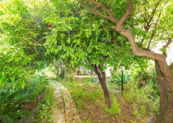 Giardino - Apartment Via Antonino Di Sangiuliano
 
139, Catania - photo 1