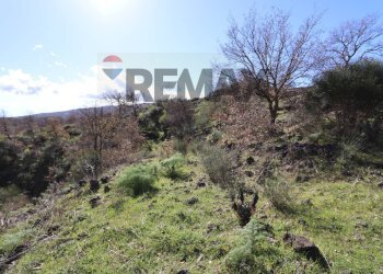 Vista delle montagne - Terreno agricolo Contrada Palmellata
snc, Castiglione di Sicilia - foto 7