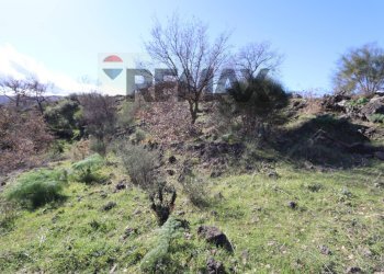 Vista delle montagne - Terreno agricolo Contrada Palmellata
snc, Castiglione di Sicilia - foto 8