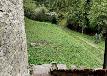 Giardino - Rustic strada vicinale delle tagliate, Pescaglia - photo 3