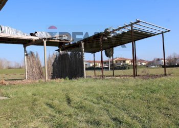Giardino - Rustic VIA SAN GIOVANNI
 
8, Fucecchio - photo 21