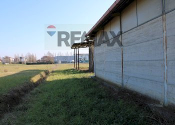 Giardino - Rustic VIA SAN GIOVANNI
 
8, Fucecchio - photo 24