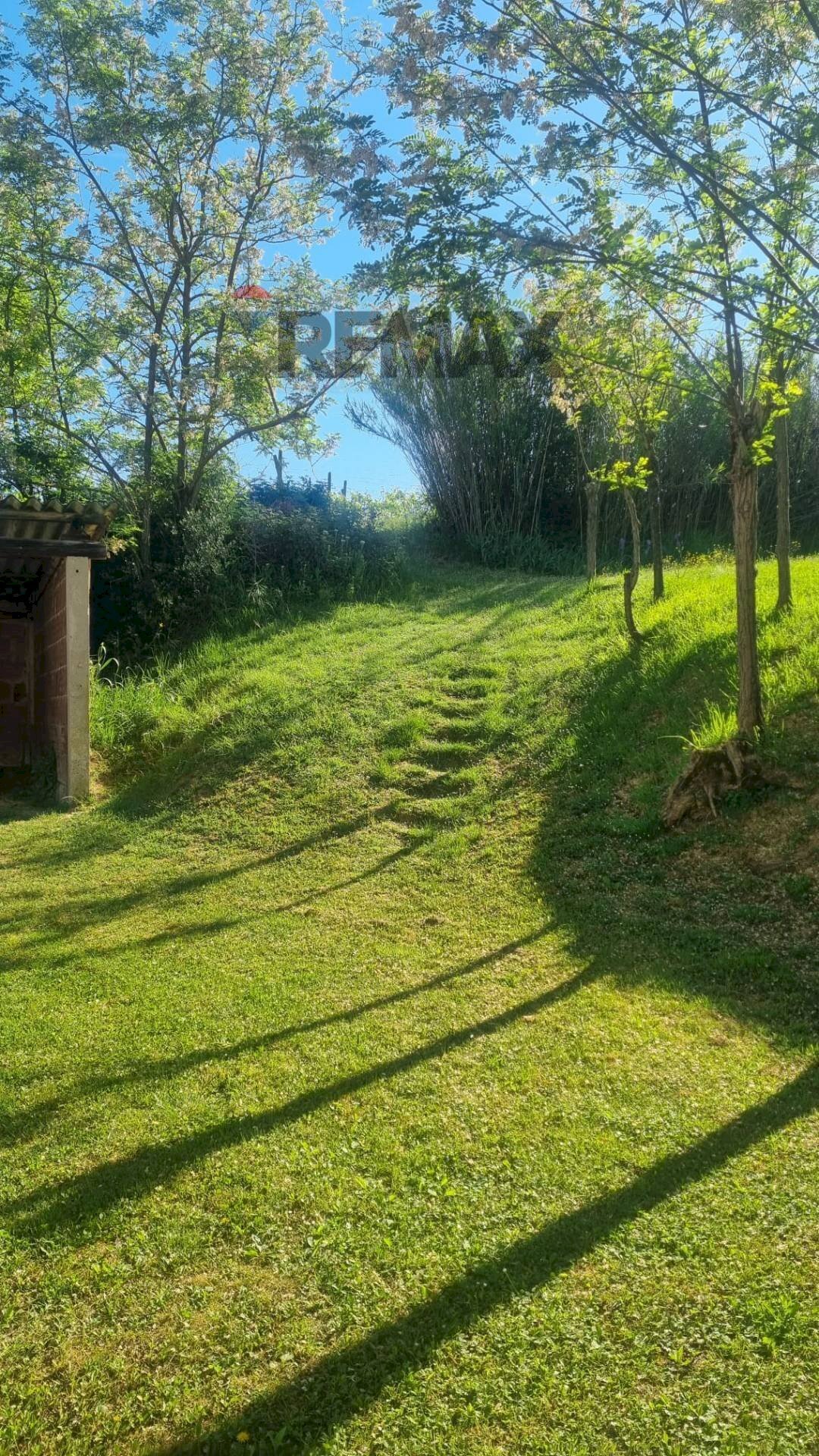 Giardino - Agricultural land Via Ribartoli, Empoli - photo 1