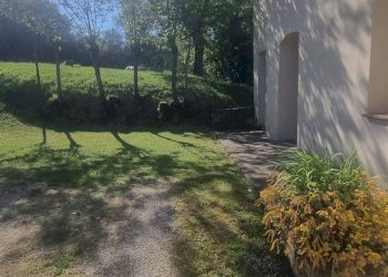 Giardino - Agricultural land Via Ribartoli, Empoli - photo 5
