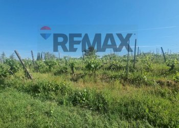 Vista delle montagne - Agricultural land Via Ribartoli, Empoli - photo 18
