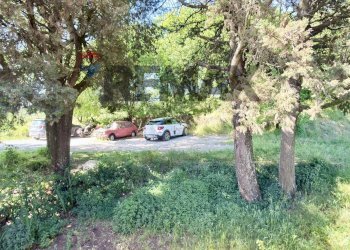 Giardino - Rustico Via le Croci
 
40, Vinci - foto 37