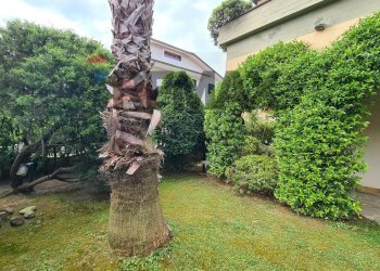 Giardino - Villa Vinci - foto 12