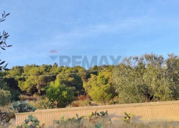 Giardino - Villa Contrada Gravaglione, Mattinata - foto 27