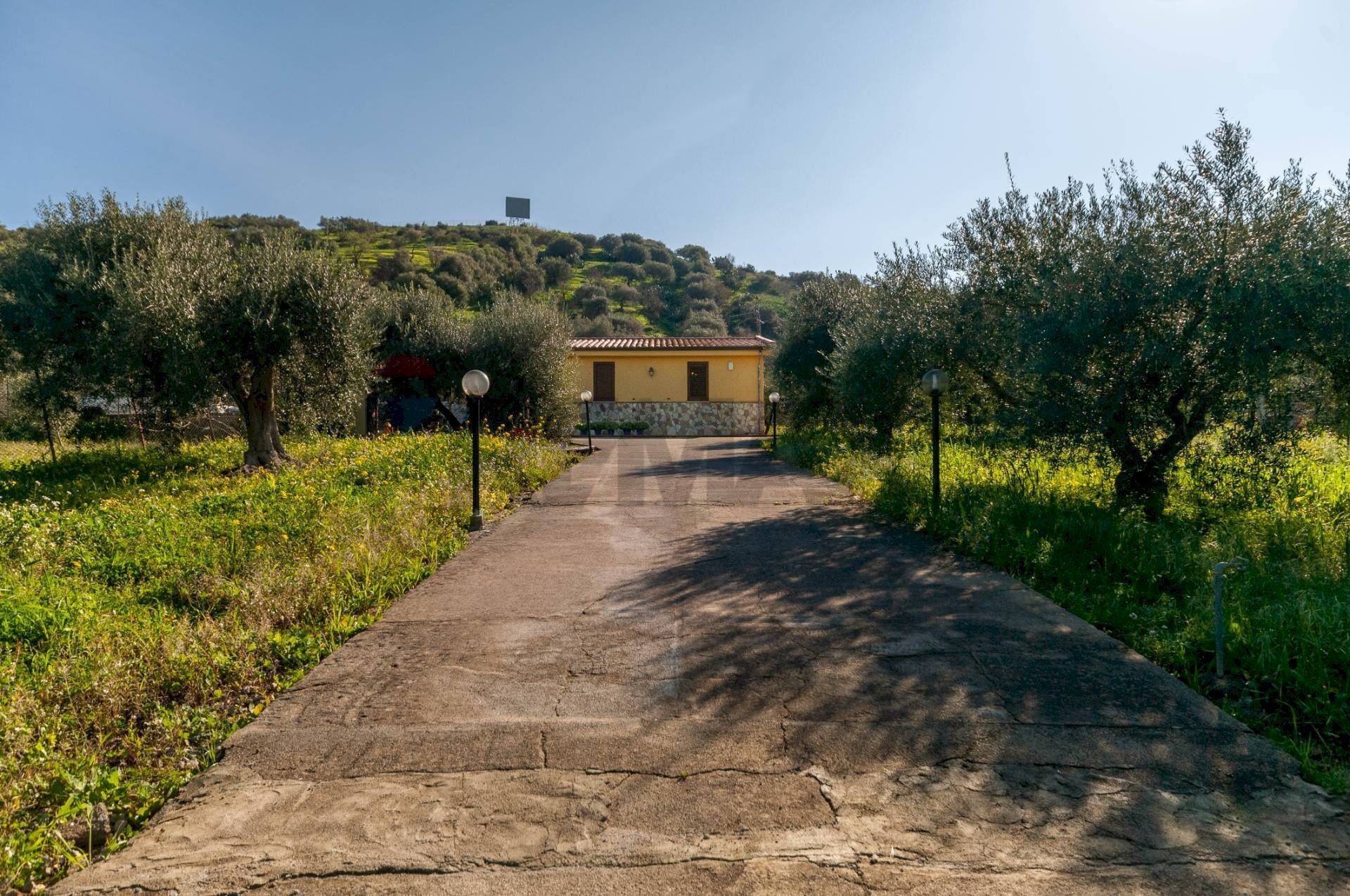 Giardino - Villa Bagheria - foto 3
