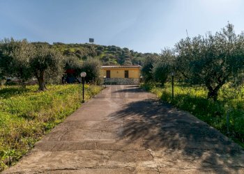 Giardino - Villa Bagheria - foto 3