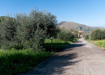 Vista delle montagne - Villa Bagheria - foto 34