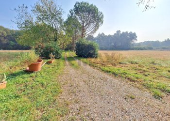 Giardino - Bilocale Via Alle Valli
 
7, Locate Varesino - foto 15