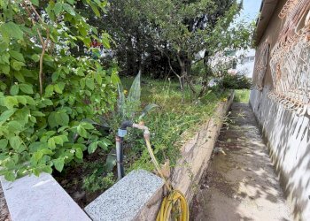 Giardino - Independent house c.da Monte
 
31, Larino - photo 20