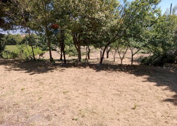 Giardino - Independent house c.da Monte
 
31, Larino - photo 26