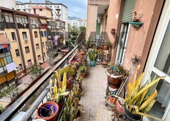 Balcone - Quadrilocale Via Polito
 
17, Palermo - foto 19