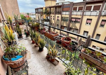 Balcone - Quadrilocale Via Polito
 
17, Palermo - foto 20